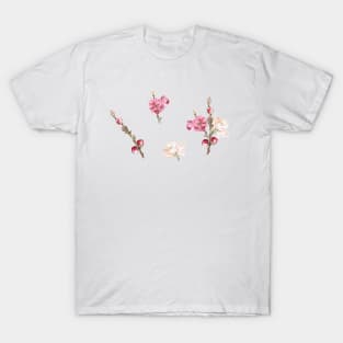 Peach blossom T-Shirt